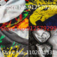Dragon Hollywood X - 2023 Fashion Male Skeleton Internal Organs Muscle 3D Printed Round Neck Short-Sleeved T-Shirt Anime Funny Party Men T Shirt