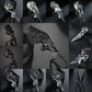 DRAGON HOLLYWOOD X - New Unisex Gothic Punk Dragon Skull Joint Knuckle Full Finger Claw Ring Statement Jewelry Party Club Charm Knuckle Rings Jewelry - BEVERLY HILLS, CA